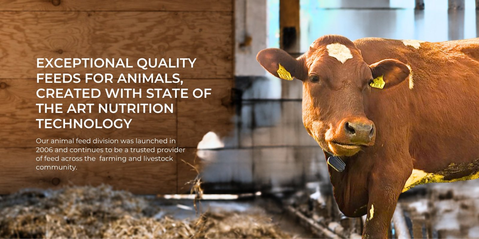 Exceptional Quality Feeds for Animals