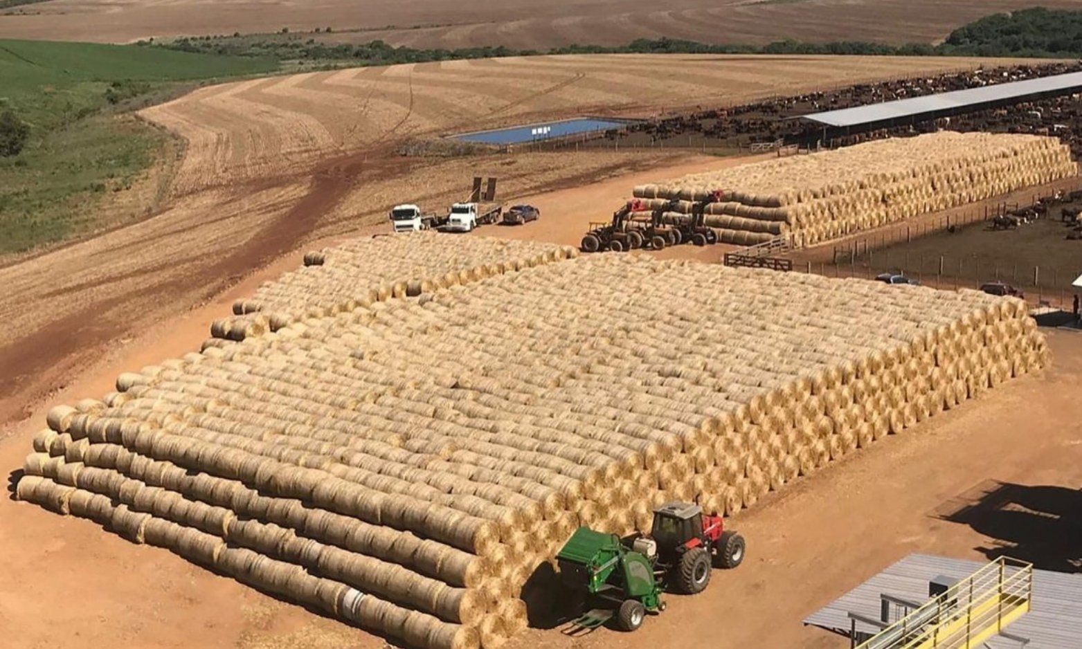 Livestock Silage & Animal Feed
